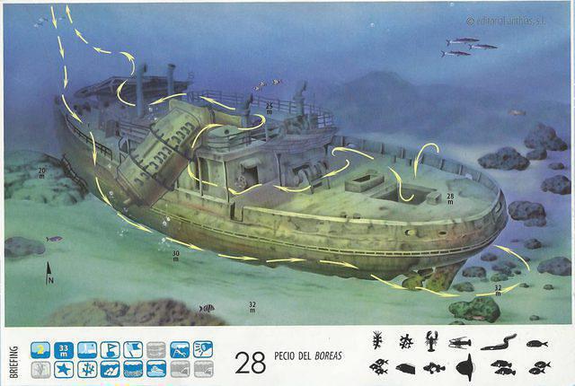 Medusadive - Dive Center in Spain
