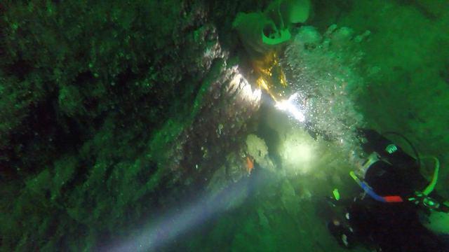 Diving in Canada, Bc - By Krema