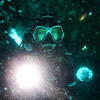 Picture taken during the dive