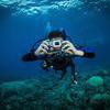 Picture taken during the dive
