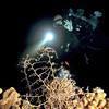 Picture taken during the dive