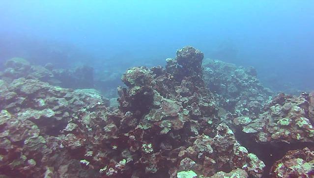 Dorado Buceo - Dive Center in Mexico