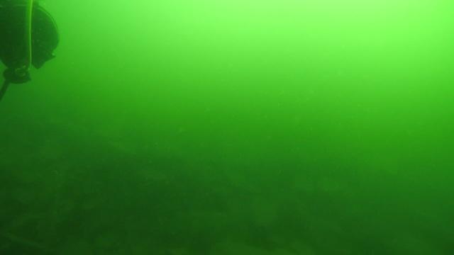 Diving in Czech Republic, Horní Cerekev - By Michal Řízek