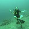 Picture taken during the dive