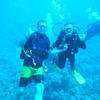Picture taken during the dive