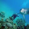 Picture taken during the dive