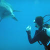 Picture taken during the dive