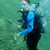 Picture taken during the dive