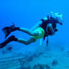 Picture taken during the dive