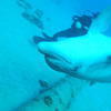 Picture taken during the dive