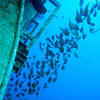 Picture taken during the dive