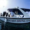 Picture taken during the dive