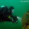 Picture taken during the dive