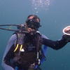 Picture taken during the dive