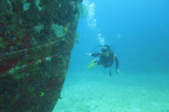 Calypso Diving School International - Dive Center in Philippines