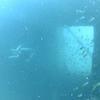 Picture taken during the dive