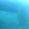 Picture taken during the dive