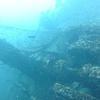 Picture taken during the dive