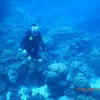 Picture taken during the dive