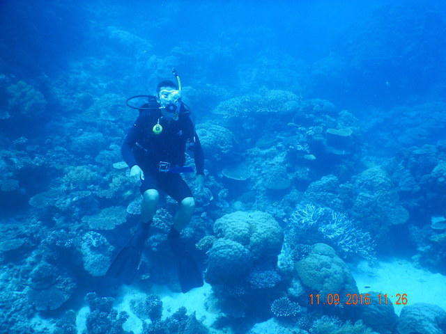 Deep Sea Divers Den - Dive Center in Australia
