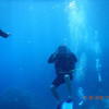 Picture taken during the dive