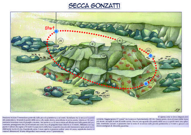 DWS - Dive Center in Italy
