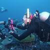 Picture taken during the dive