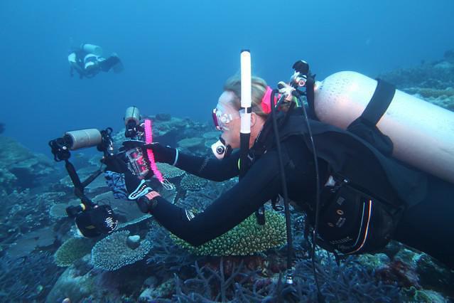 Diving in Vanuatu, Mele Bay - By Steve Grimmett