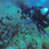 Picture taken during the dive