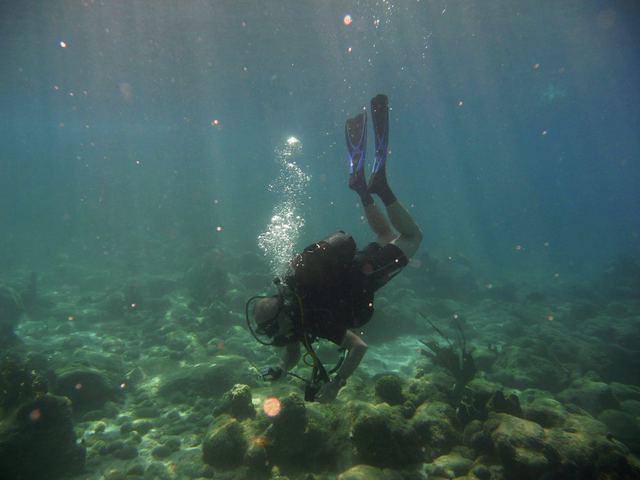 Anse Caraibe Plongee - Dive Center in Guadeloupe