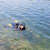 Picture taken during the dive