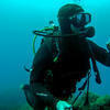 Picture taken during the dive
