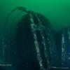 Picture taken during the dive