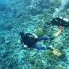 Picture taken during the dive