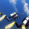 Picture taken during the dive