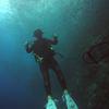Picture taken during the dive