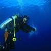 Picture taken during the dive