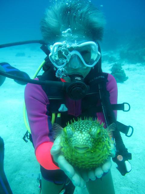 Beaches Negril - Dive Center in Jamaica