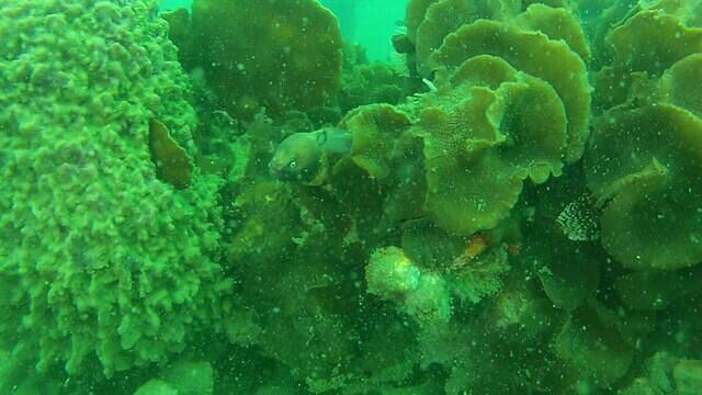 BB DIVERS - Dive Center in Thailand