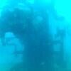 Picture taken during the dive