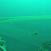 Picture taken during the dive