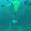 Picture taken during the dive