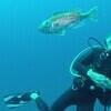 Picture taken during the dive