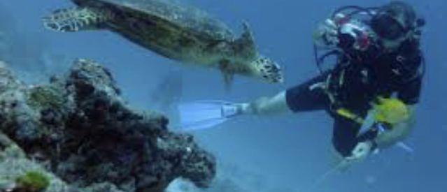 Divers Down - Dive Center in United Arab Emirates