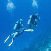 Picture taken during the dive