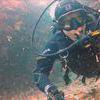 Picture taken during the dive
