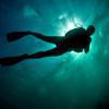 Picture taken during the dive