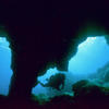 Picture taken during the dive