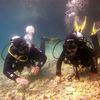 Picture taken during the dive