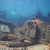 Picture taken during the dive